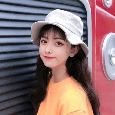 凤凰之令变态版下载